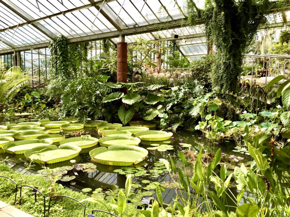 世界遺産１ キュー ガーデンズ Kew Gardens