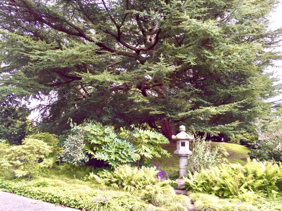 キューガーデン 日本庭園